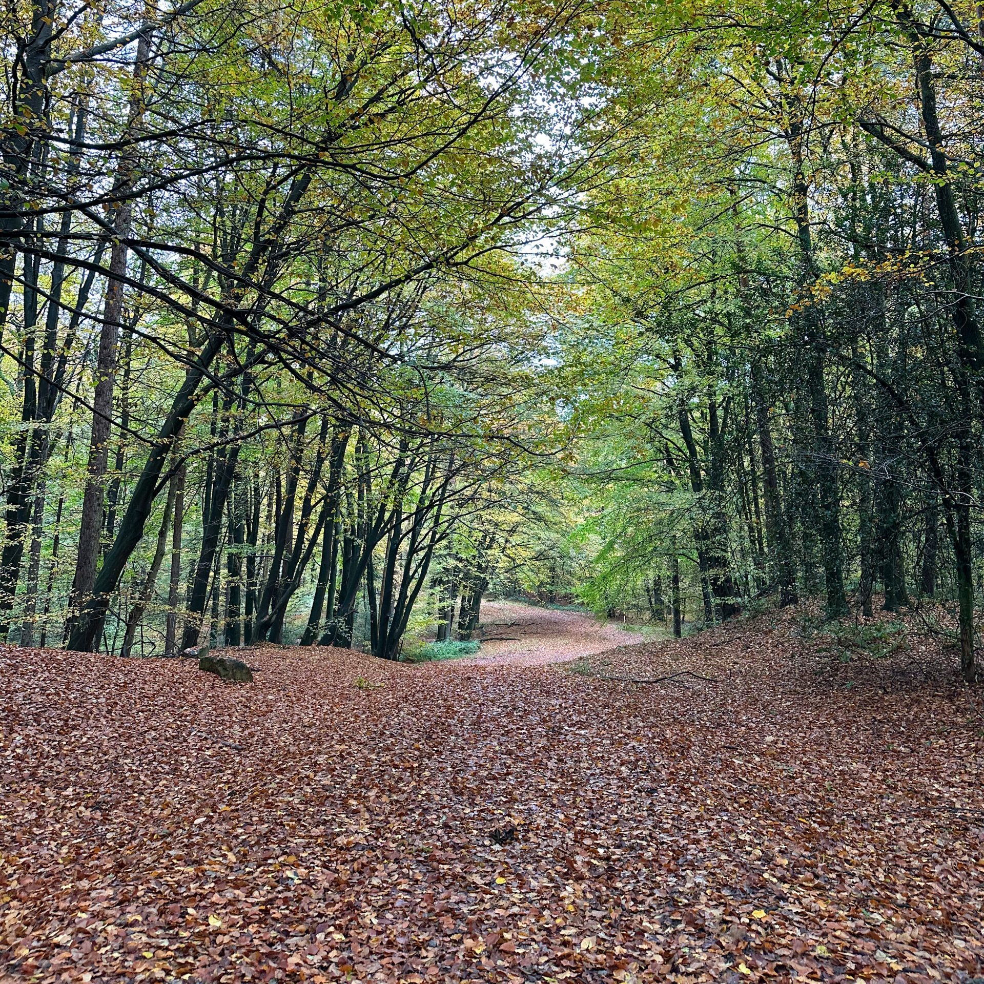 Wandern im Norden – Bentheimer Klippen